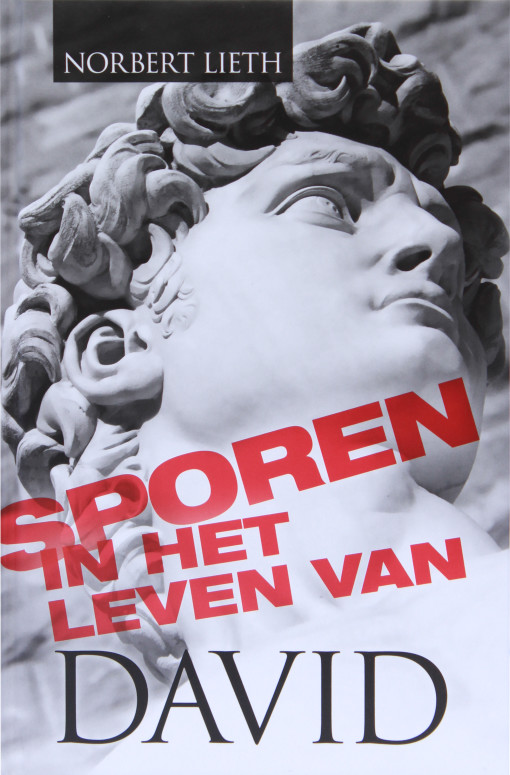sporen-in-het-leven-van-David